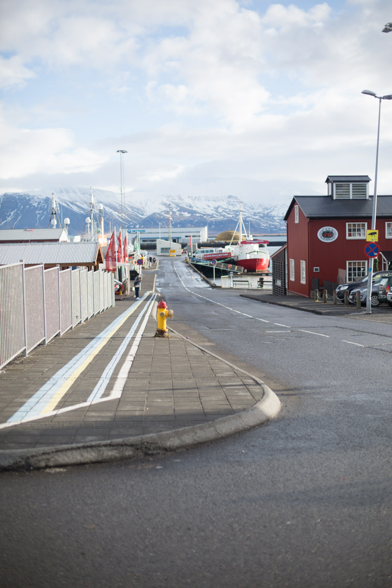 theeverygirl-daniellemoss-iceland-41