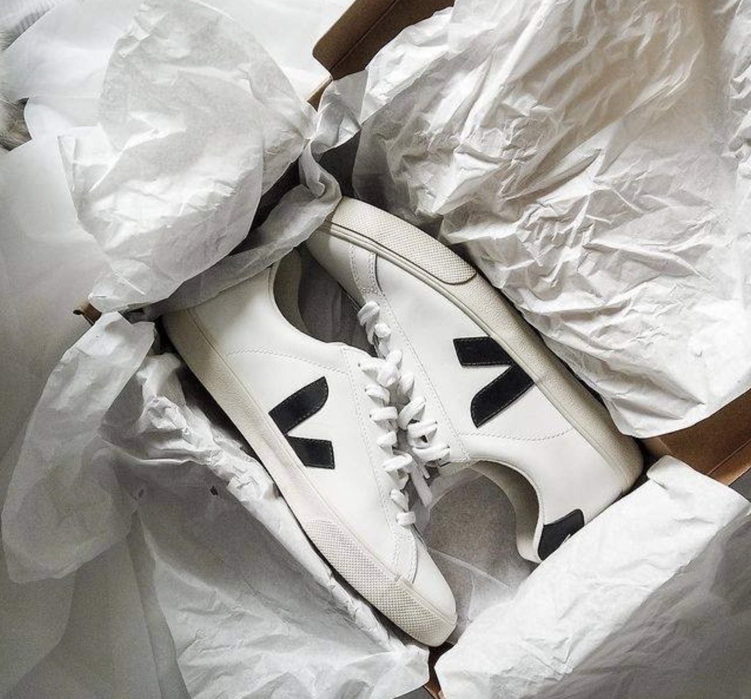 20 top Veja Sneakers with Eco-Friendly Materials ideas in 2024