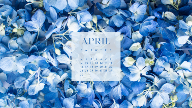 April Floral Desktop and iPhone Backgrounds (FREE)